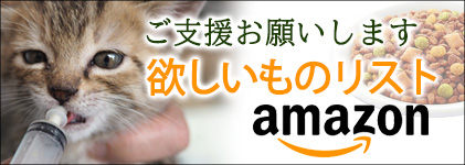amazon~̃XgBی슈ɂx肢܂B