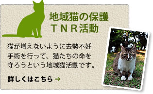 LȂ悤ɋDpsāAL̖낤ƂnLłB