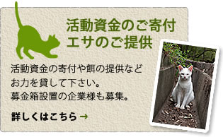 ̊ta̒񋟂Ȃǂ݂͂ĂBݒůƗlWB