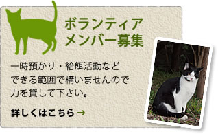 GTEꎞaȂǂł͈͂ō\܂B݂͂ĂB